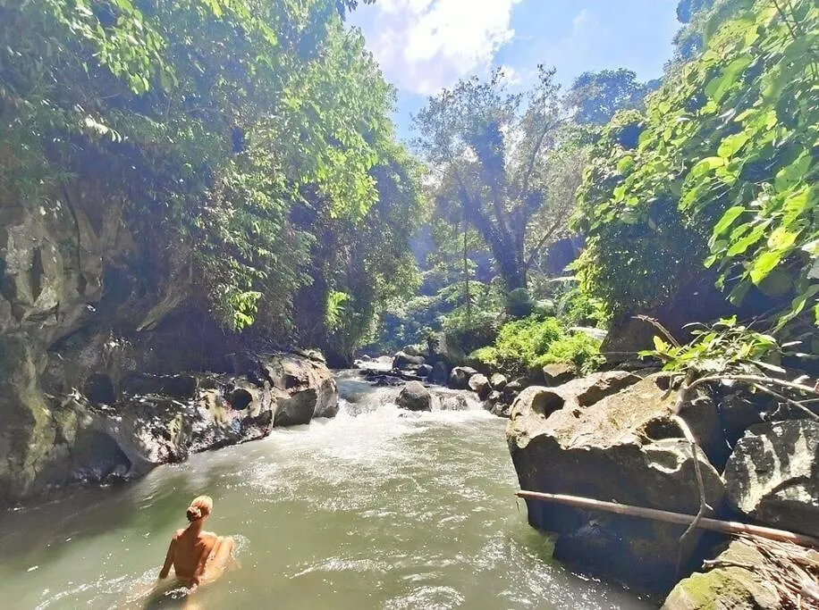 Superior One Bedroom Apartment W Stunning Waterfall View Ubud