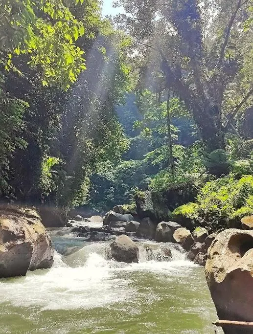 Superior One Bedroom Apartment W Stunning Waterfall View Ubud